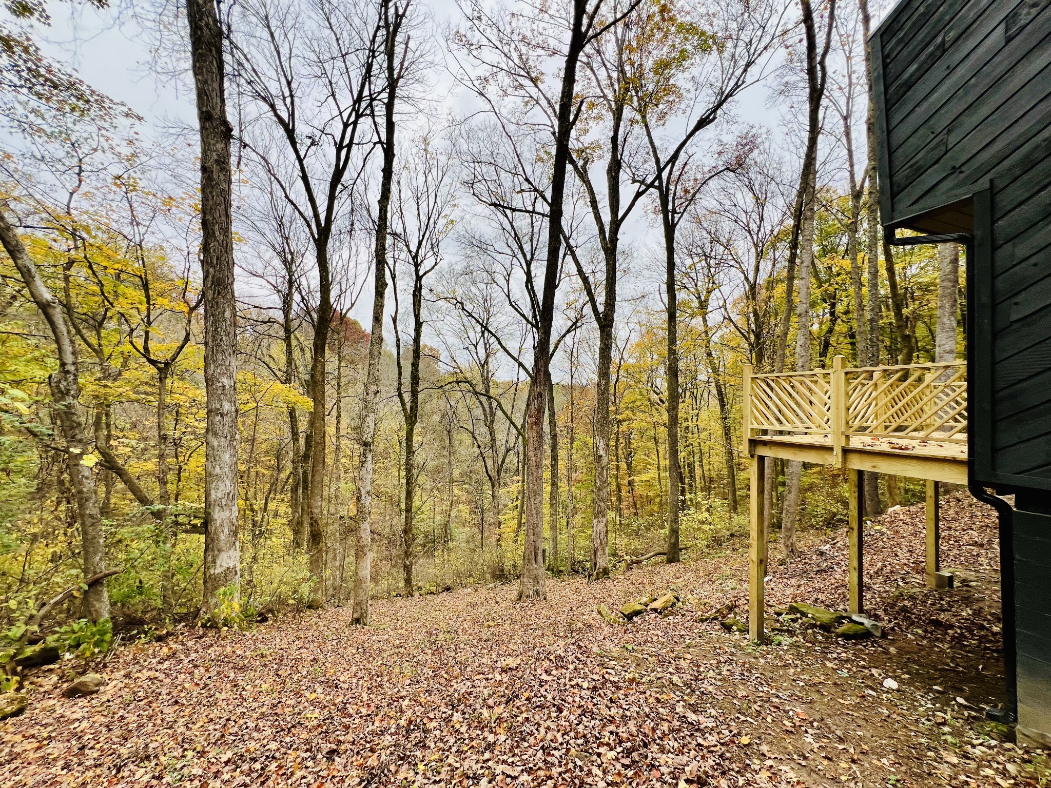 884 High Point Ridge Road Franklin, TN 37069 - Photo 59 of 67