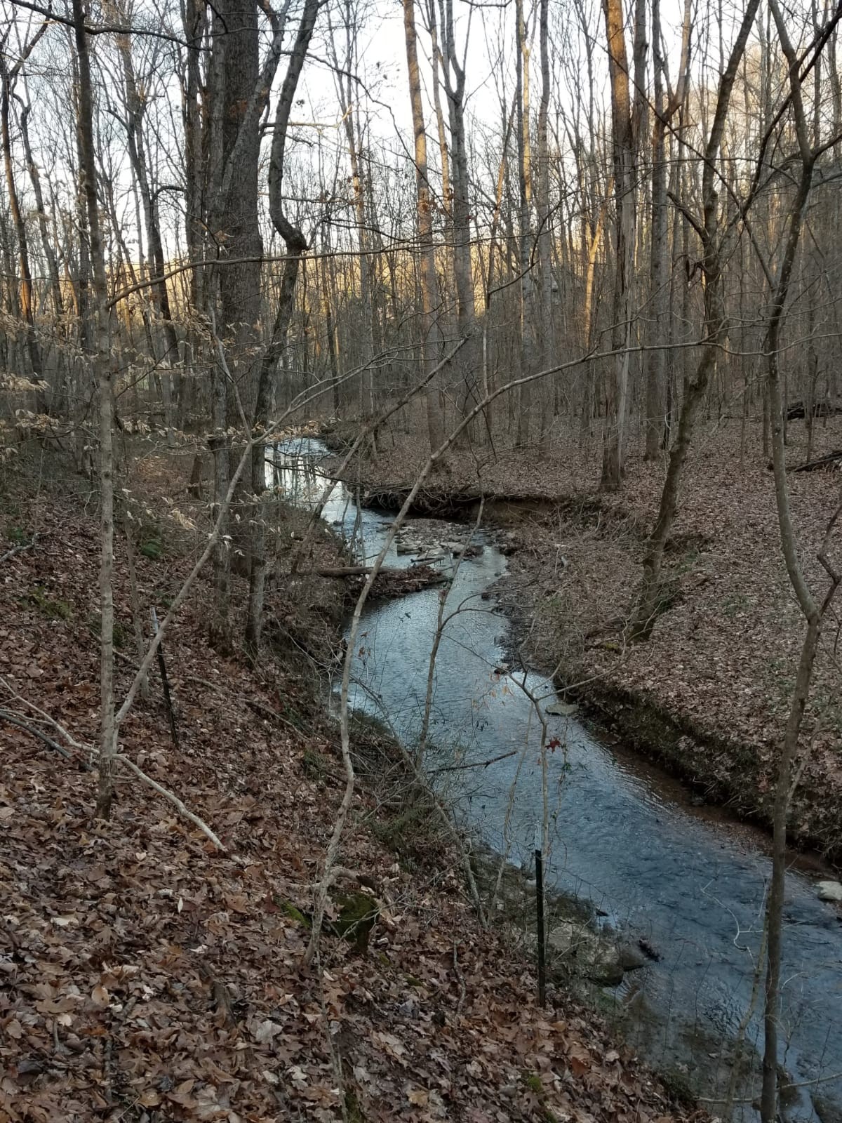 825 Durham Road Adams, TN 37010 - Photo 5 of 49