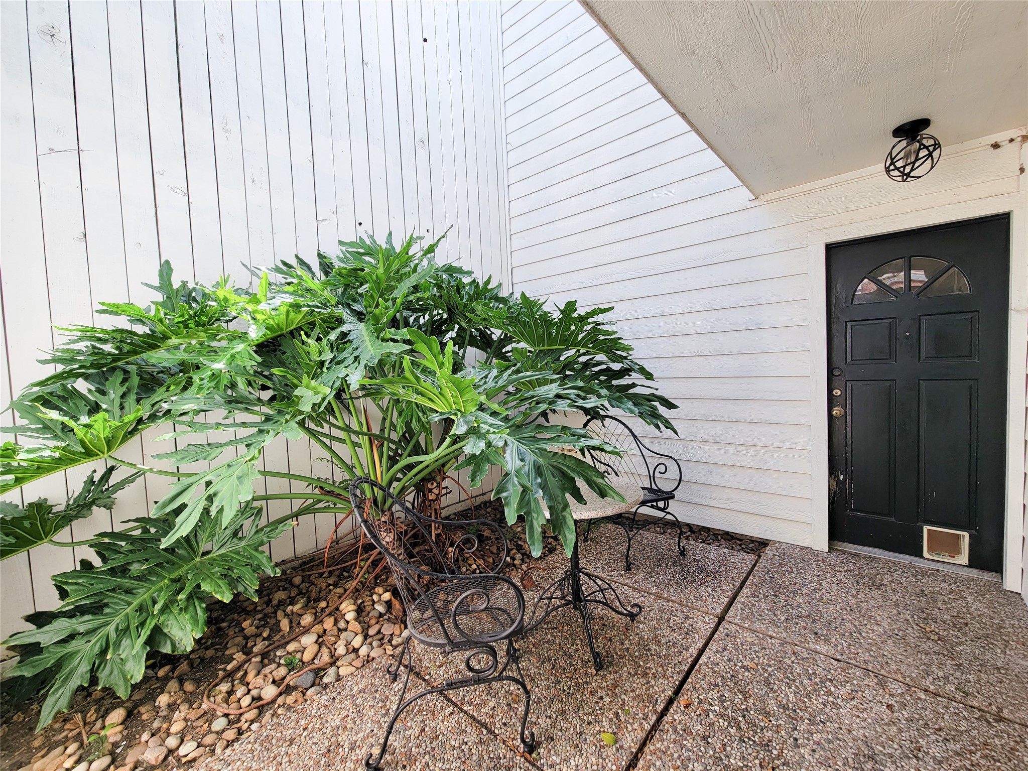 2243 West Alabama Street, Unit B Houston, TX 77098 - Photo 2 of 44 a backyard of a house