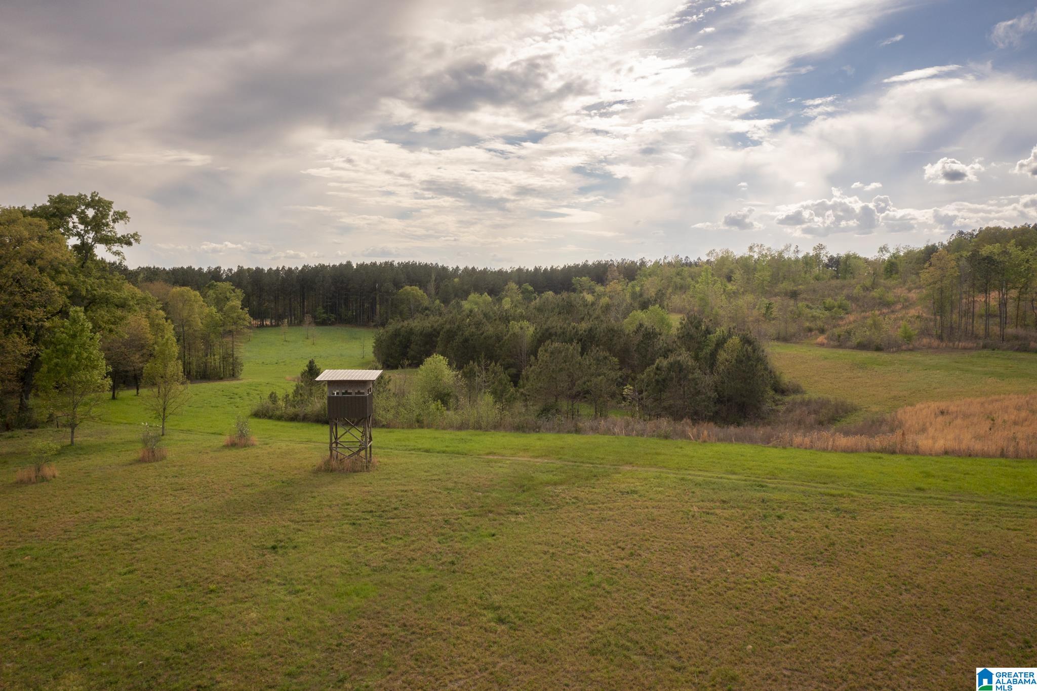 1325 Ledbetter Road Munford, AL 36268 - Photo 22 of 85