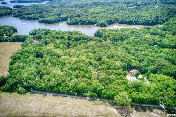 a front view of a house with garden and porch