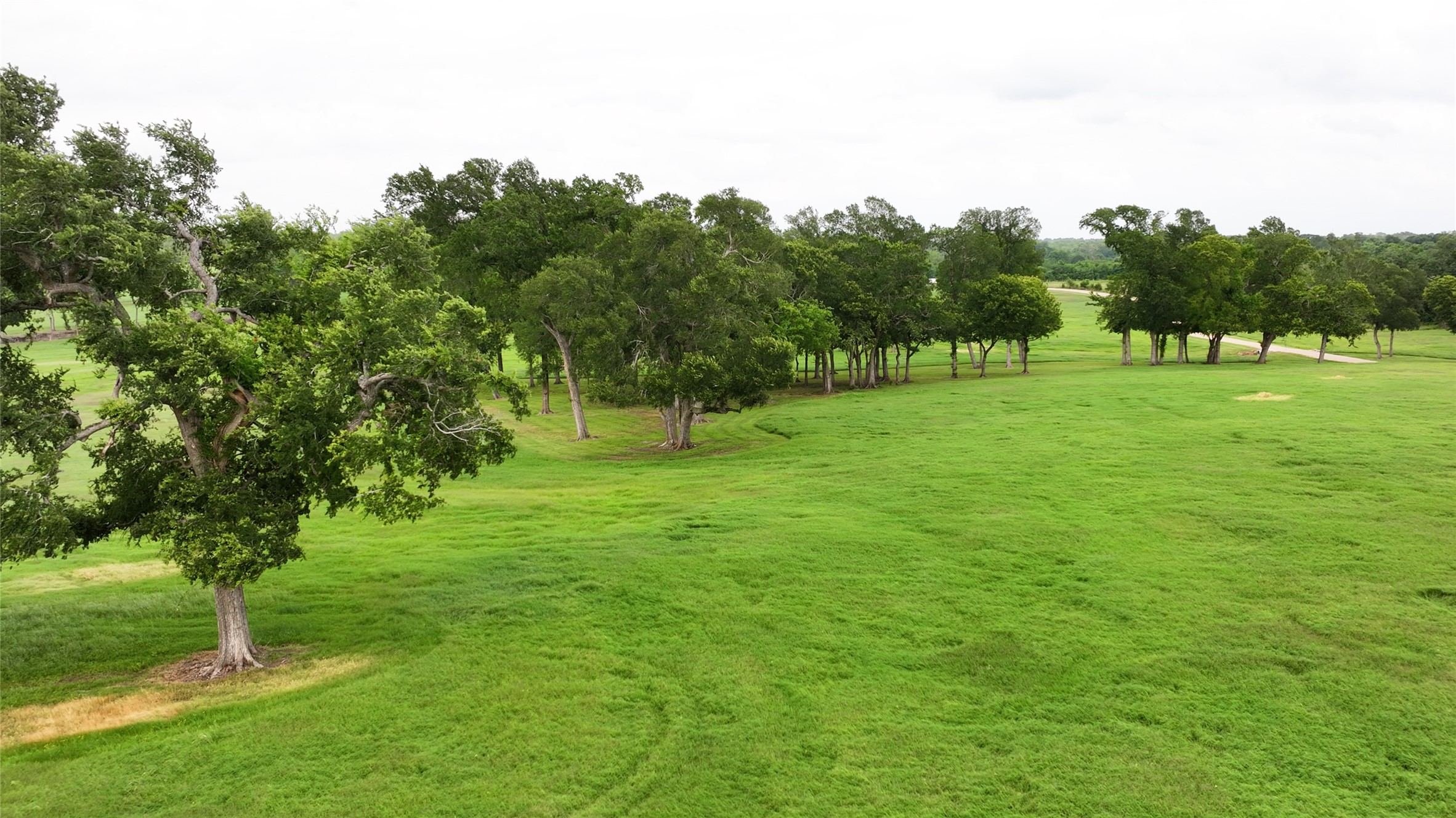 3283-2 Fm 2562 Road Anderson, TX 77830 - Photo 24 of 36