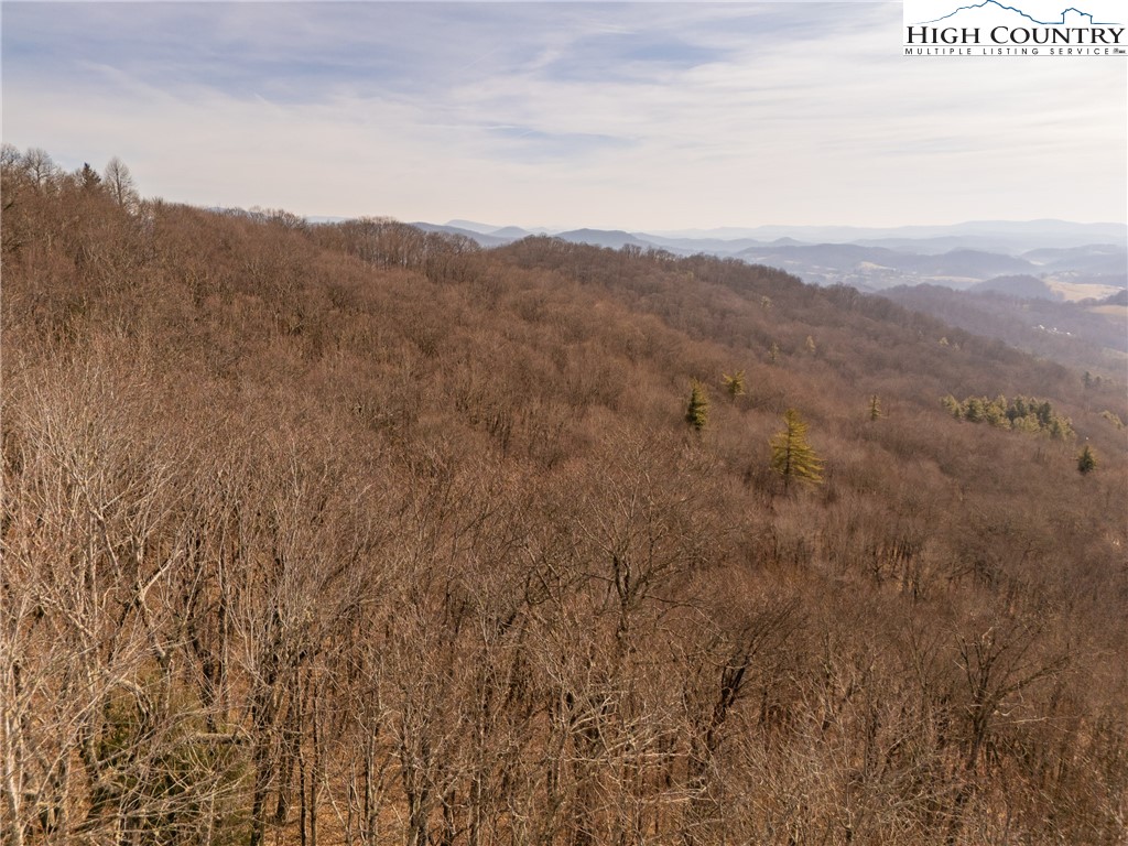 1395 Grady Winkler Road Boone, NC 28607 - Photo 13 of 50 Gallery Image 13