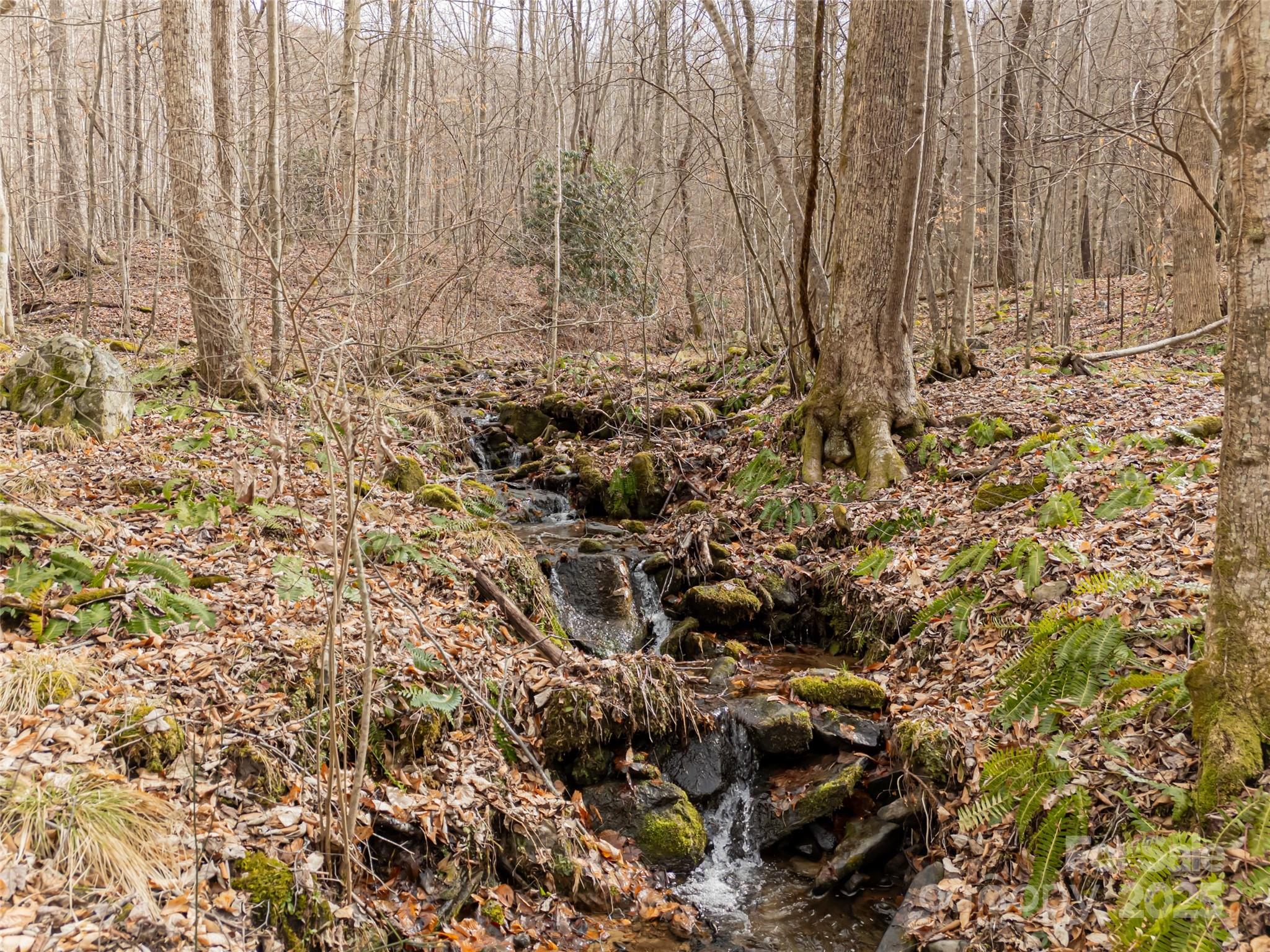 522-528 Blue Mist Way Arden, NC 28704 - Photo 12 of 36