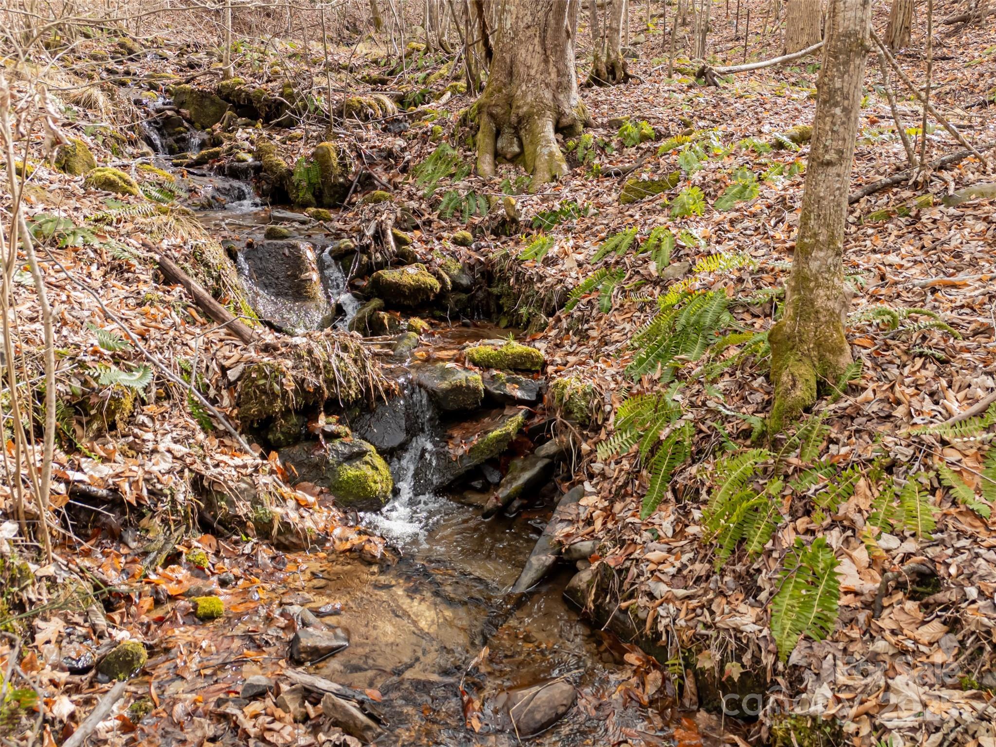 522-528 Blue Mist Way Arden, NC 28704 - Photo 14 of 36