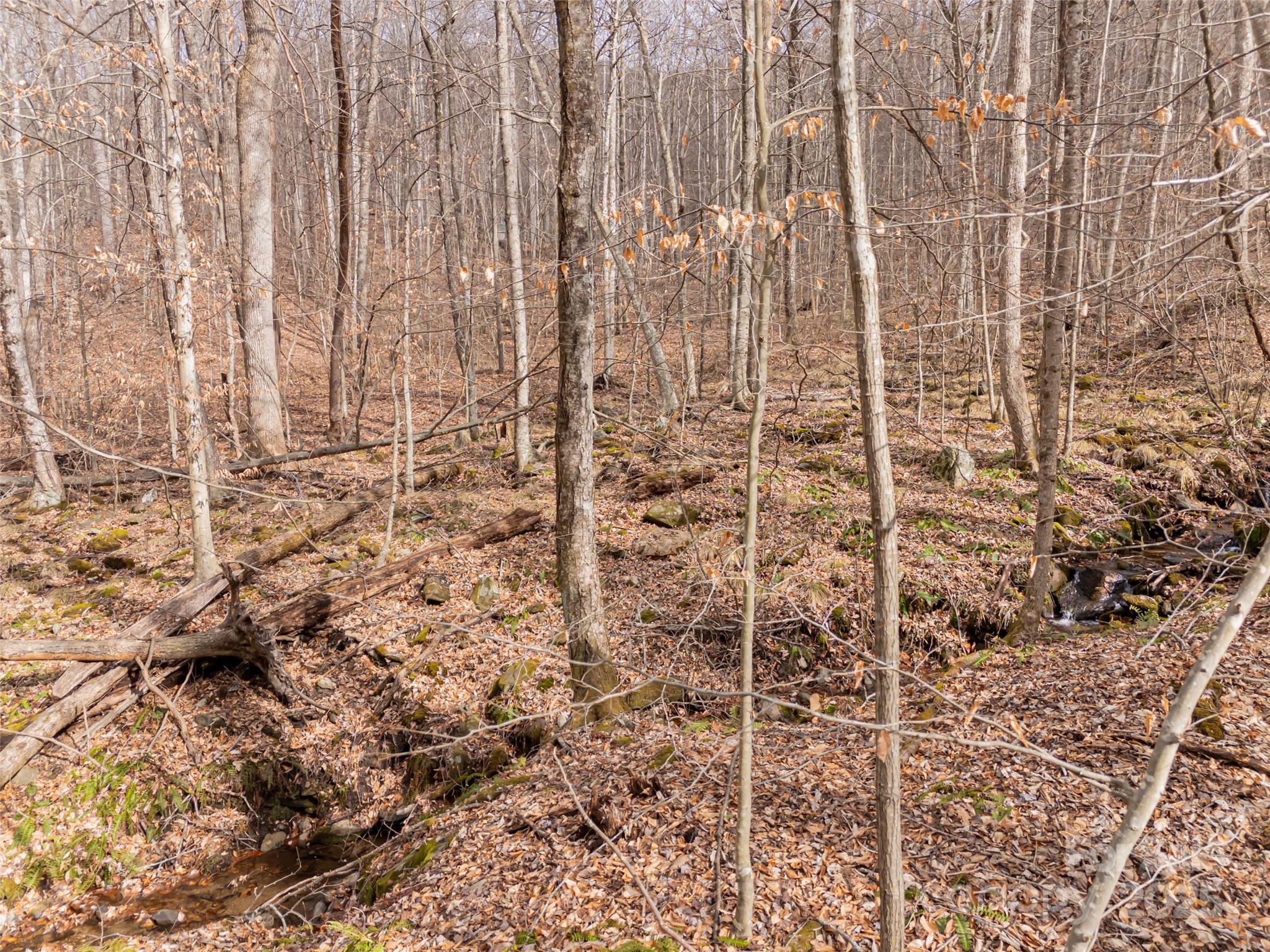 522-528 Blue Mist Way Arden, NC 28704 - Photo 17 of 36 a bathroom with a shower