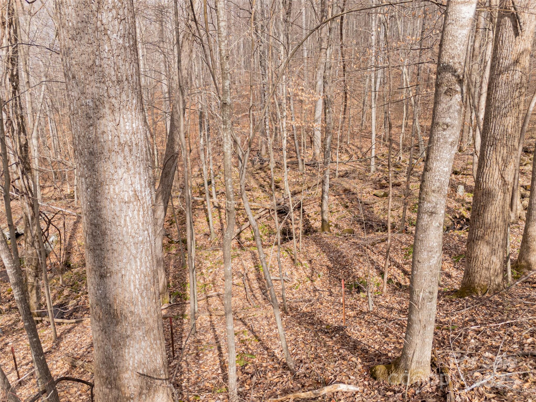 522-528 Blue Mist Way Arden, NC 28704 - Photo 18 of 36 a bathroom with a shower