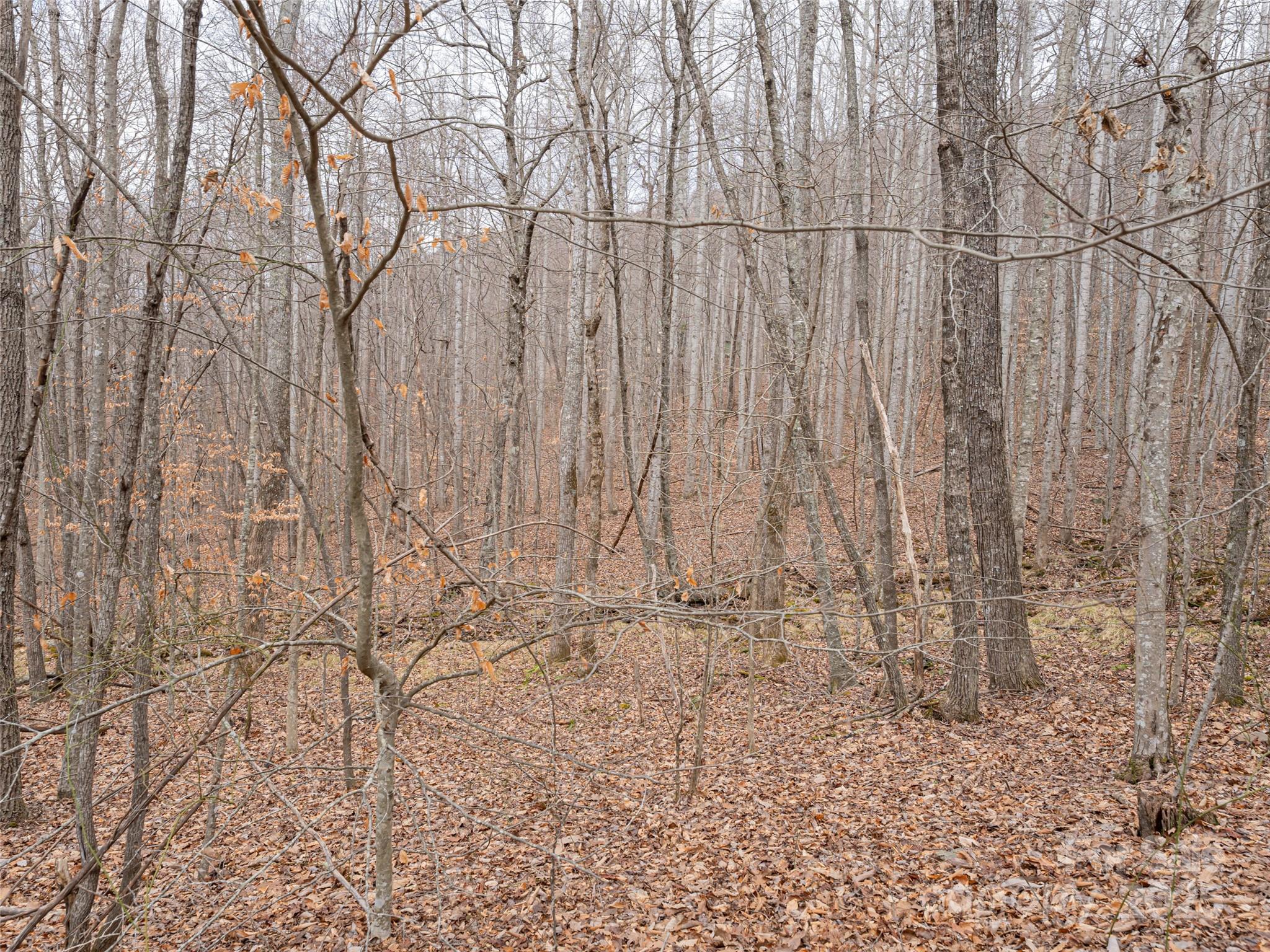 522-528 Blue Mist Way Arden, NC 28704 - Photo 21 of 36 a view of wooden fence