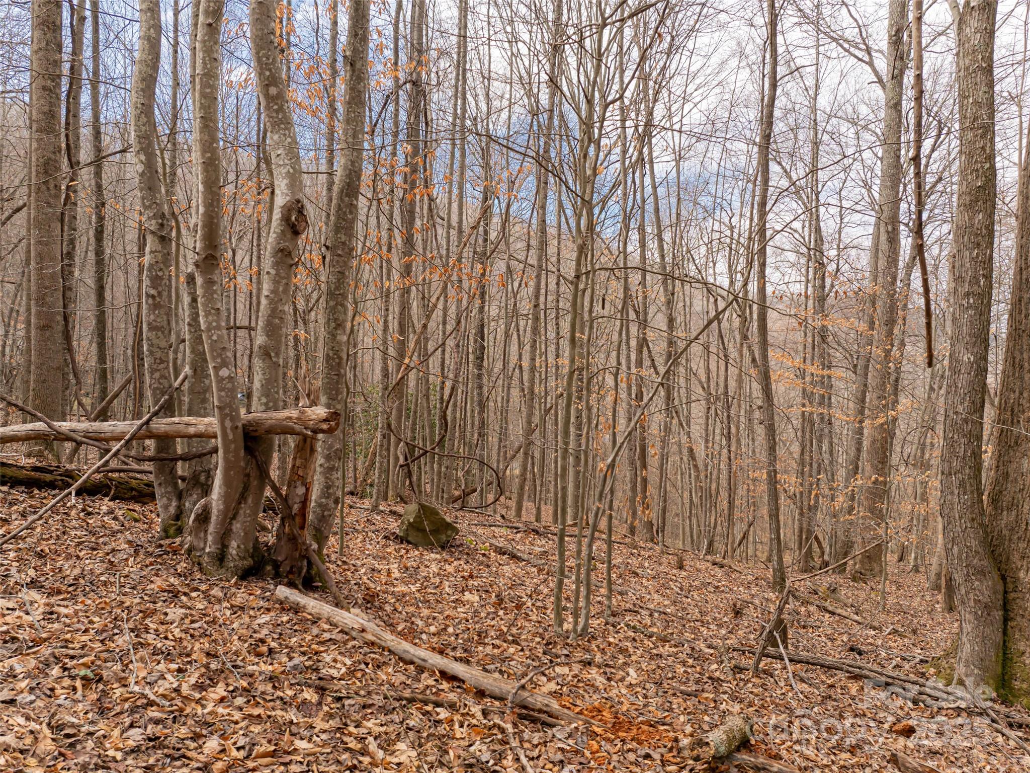522-528 Blue Mist Way Arden, NC 28704 - Photo 25 of 36