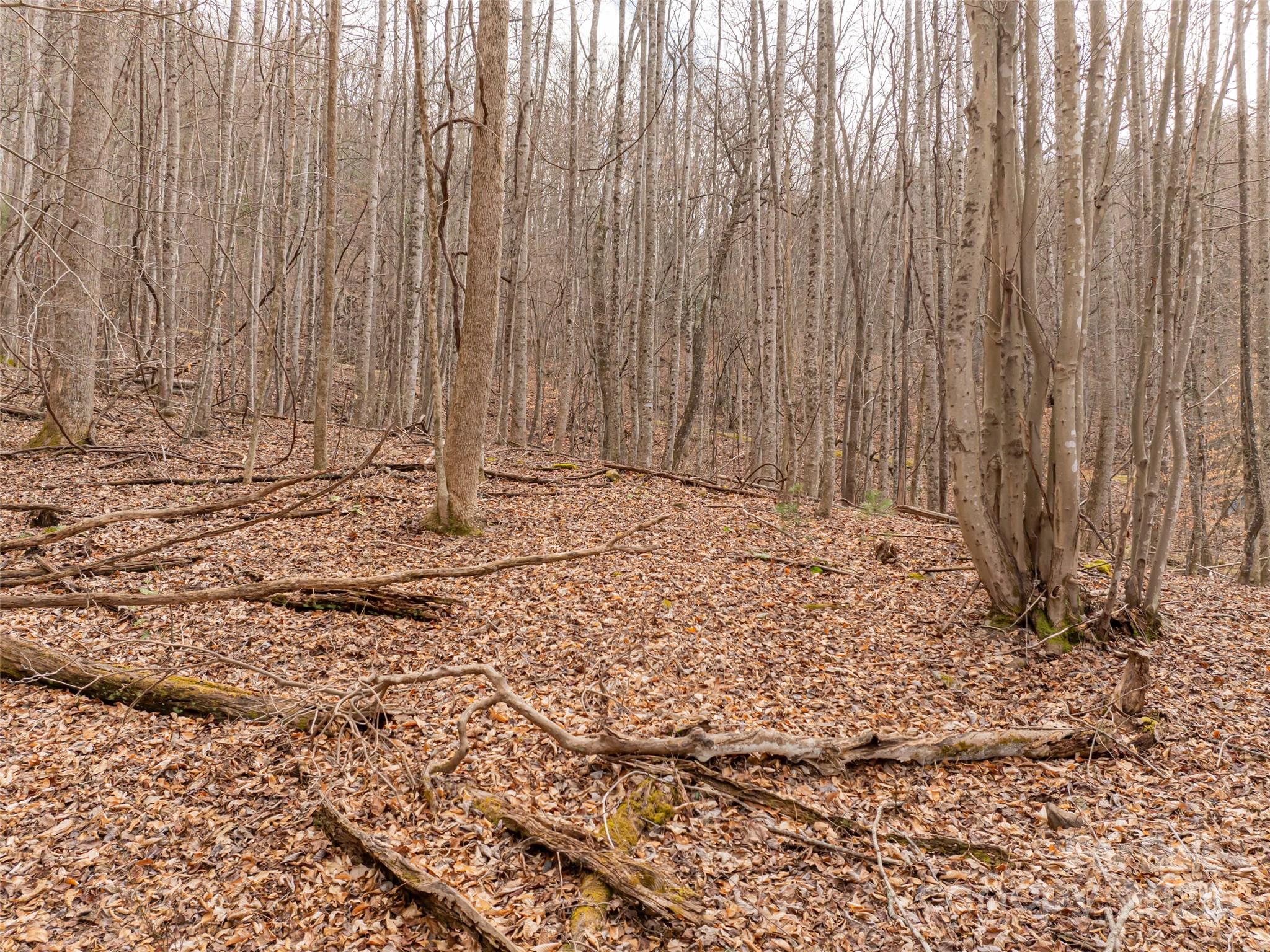 522-528 Blue Mist Way Arden, NC 28704 - Photo 26 of 36 a view of wooden door