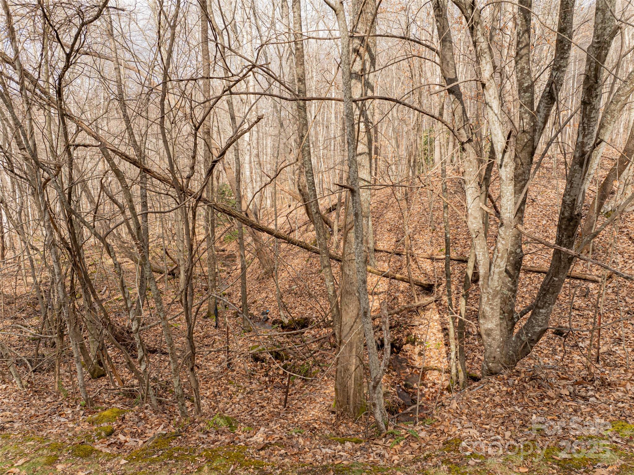 522-528 Blue Mist Way Arden, NC 28704 - Photo 30 of 36 a backyard of a building