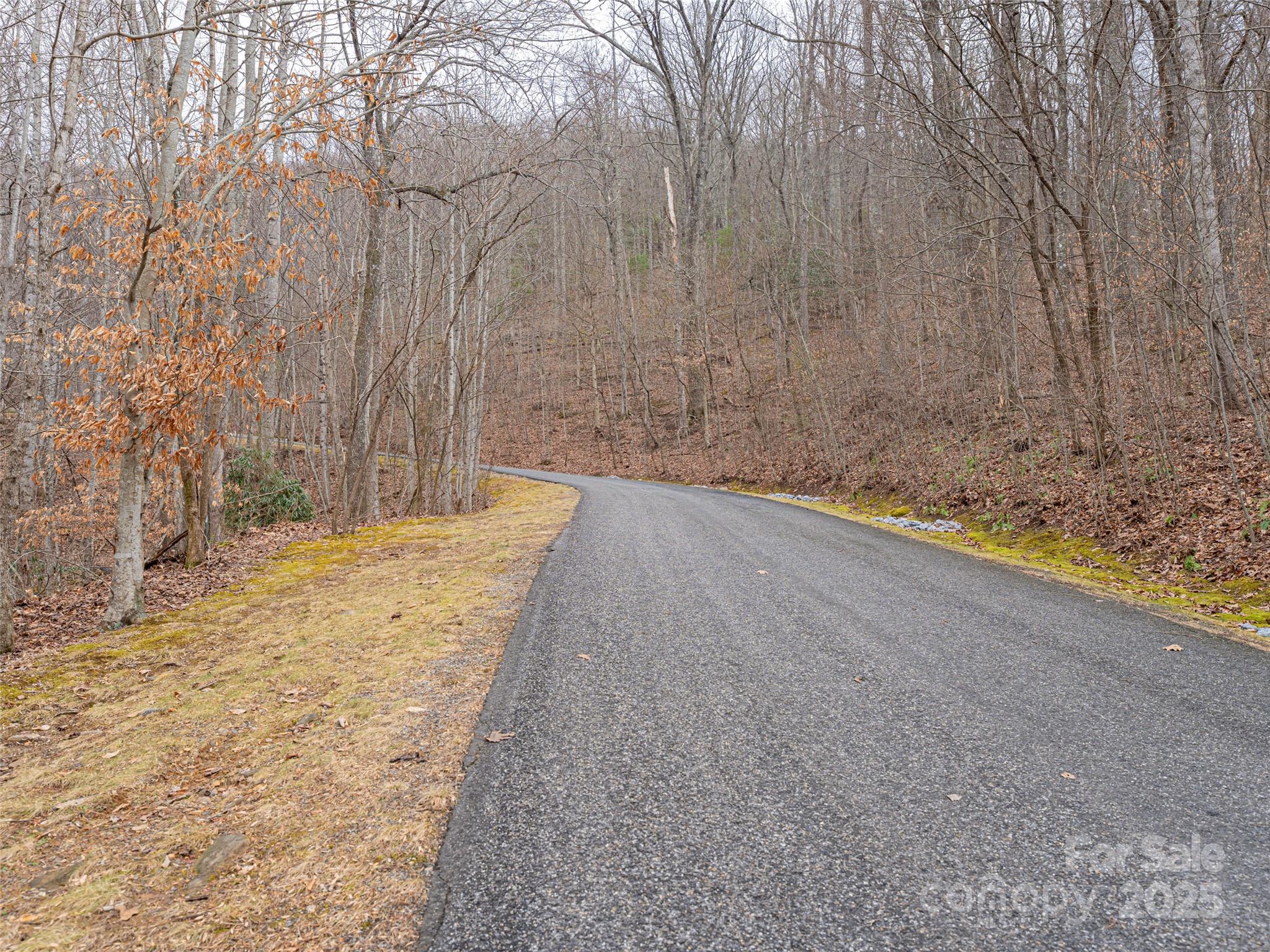 522-528 Blue Mist Way Arden, NC 28704 - Photo 3 of 36 a view of a yard with a trees
