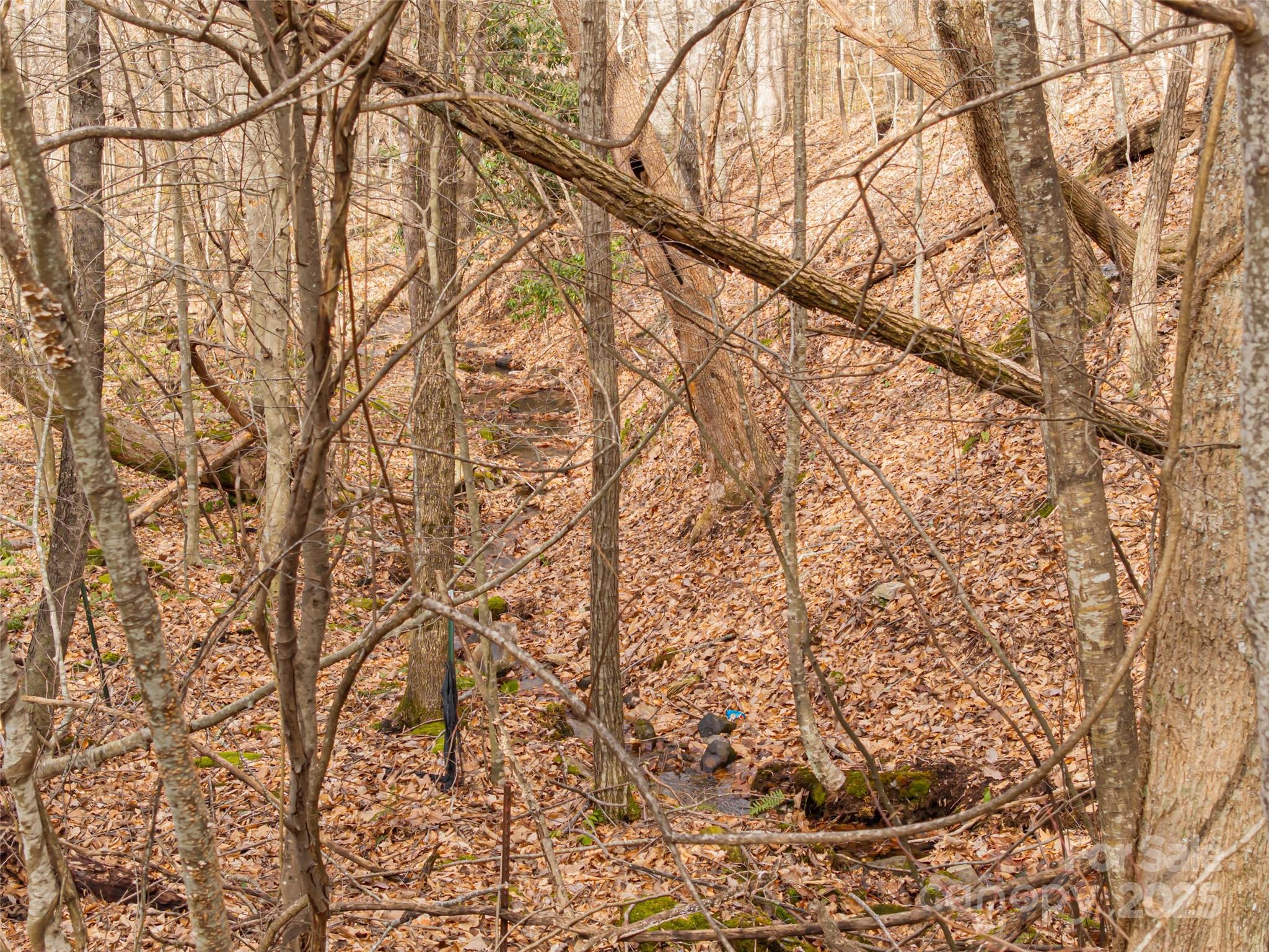 522-528 Blue Mist Way Arden, NC 28704 - Photo 31 of 36