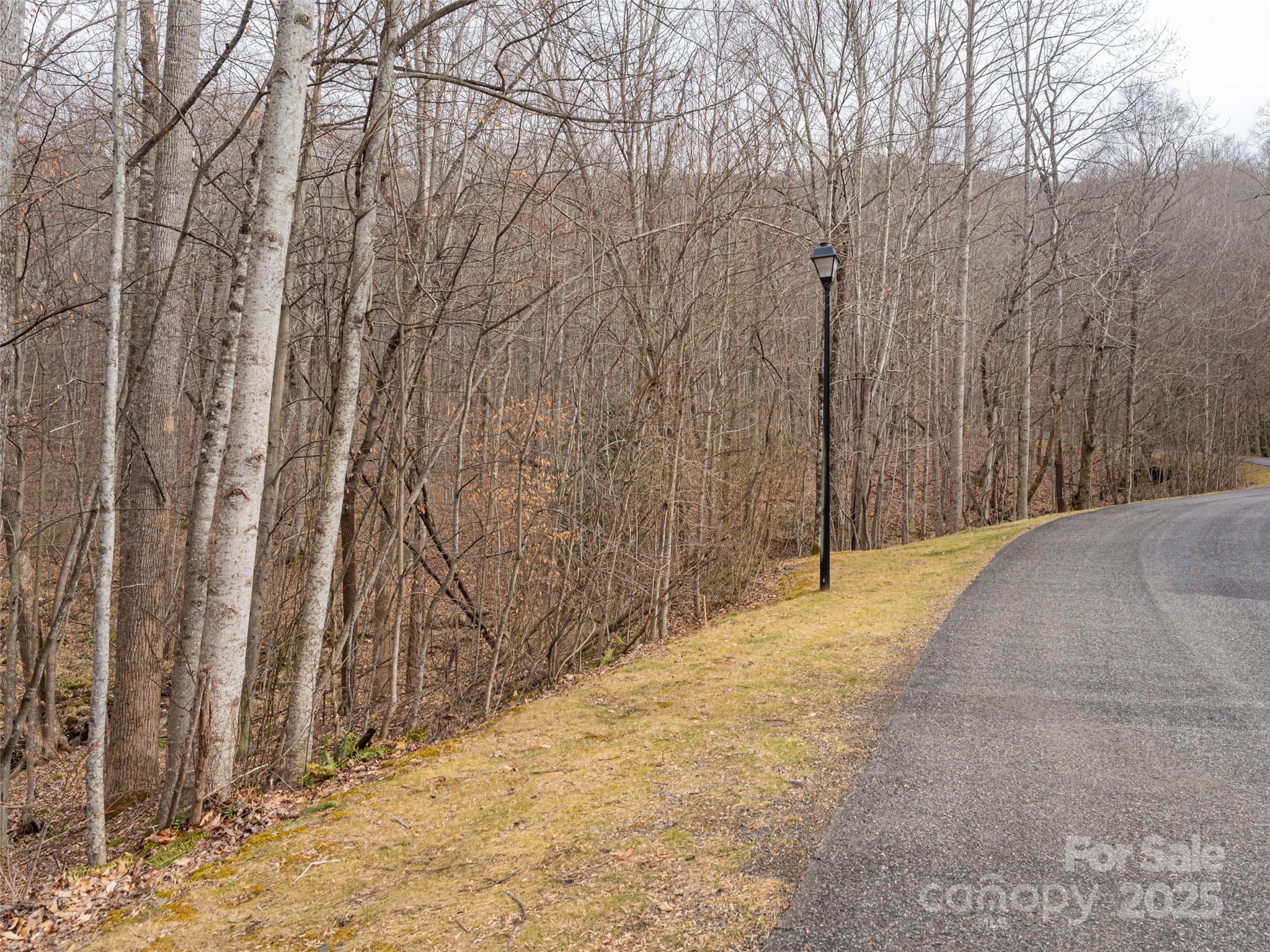 522-528 Blue Mist Way Arden, NC 28704 - Photo 4 of 36 a view of a backyard of the house