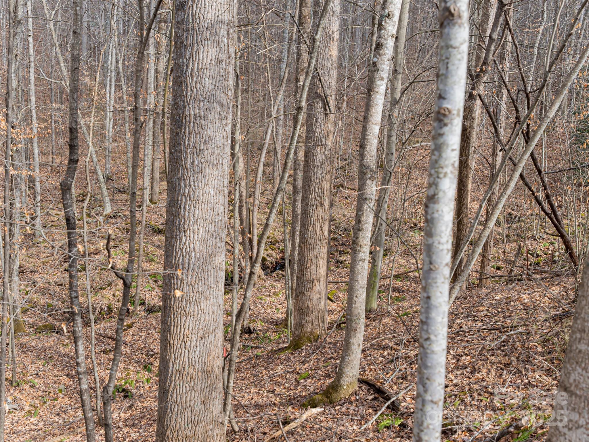 522-528 Blue Mist Way Arden, NC 28704 - Photo 6 of 36 a bathroom with a shower