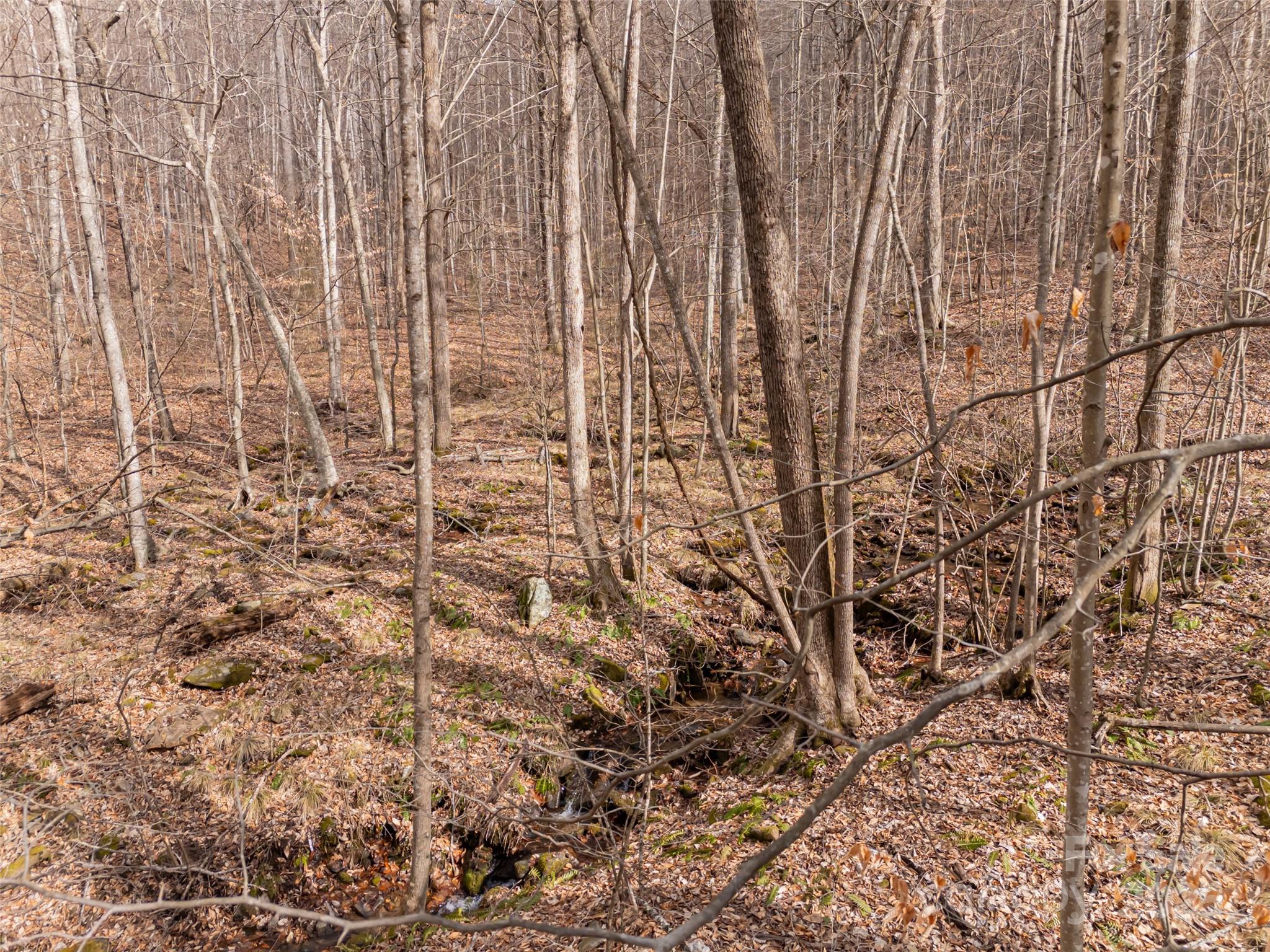 522-528 Blue Mist Way Arden, NC 28704 - Photo 7 of 36 a bathroom with a shower curtain