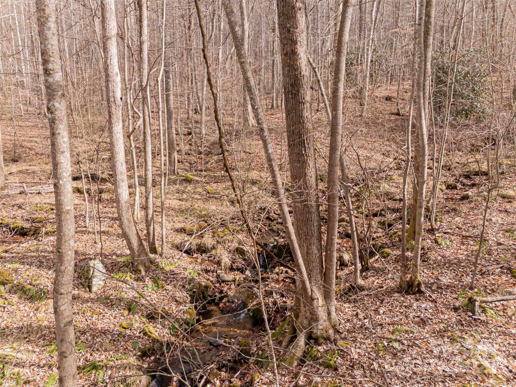 522-528 Blue Mist Way Arden, NC 28704 - Photo 8 of 36