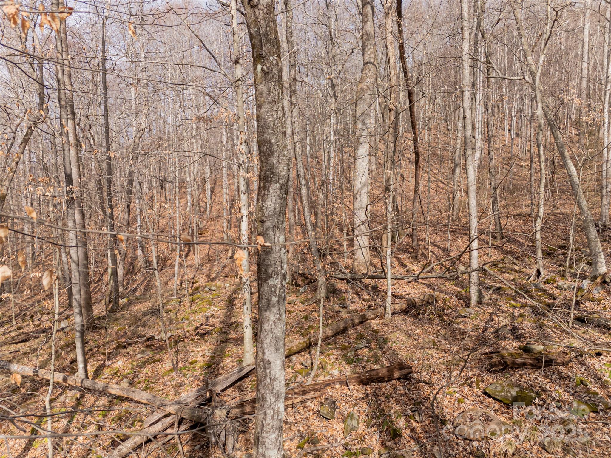 522-528 Blue Mist Way Arden, NC 28704 - Photo 9 of 36 a bathroom with a shower