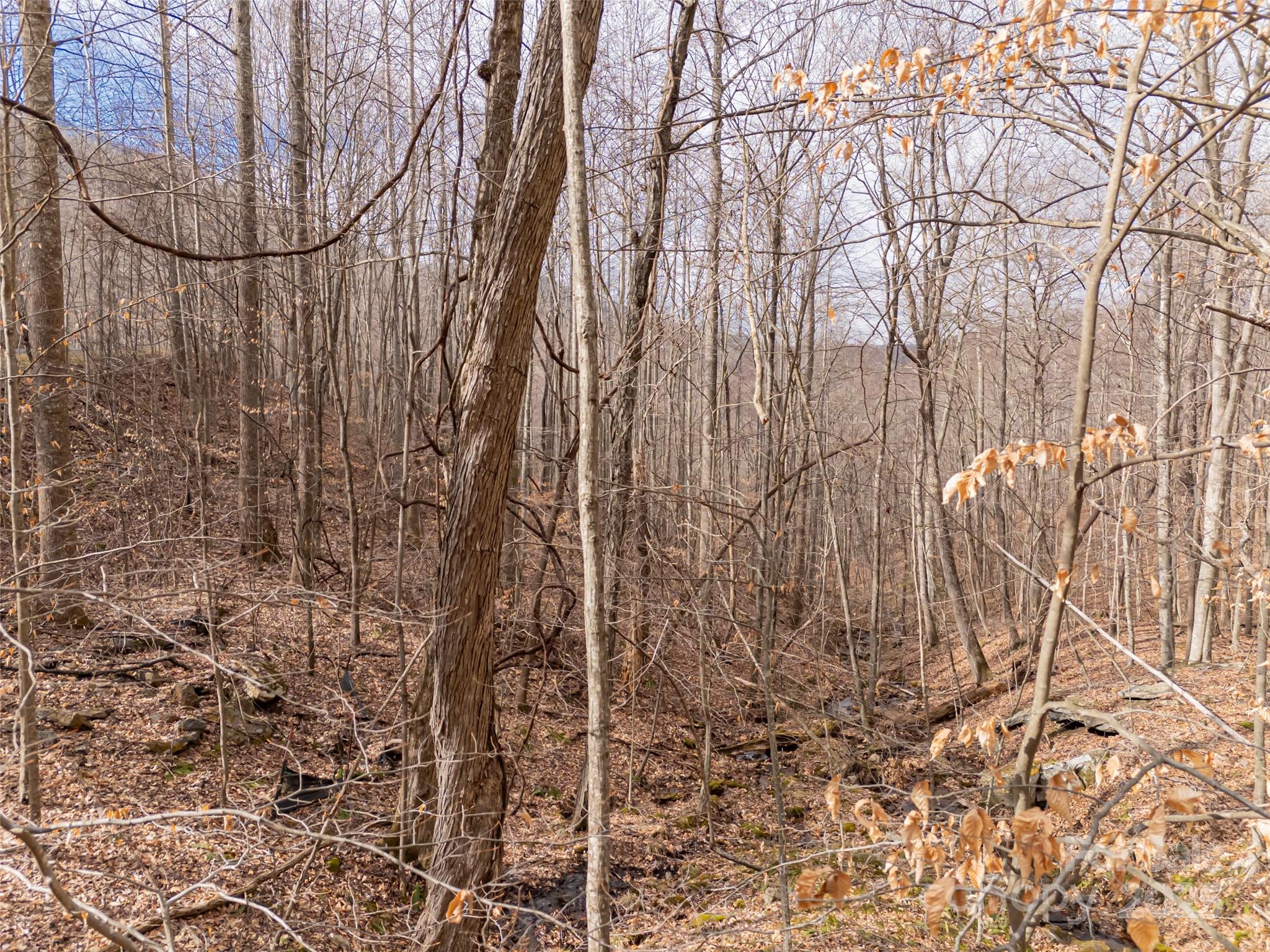 522-528 Blue Mist Way Arden, NC 28704 - Photo 10 of 36