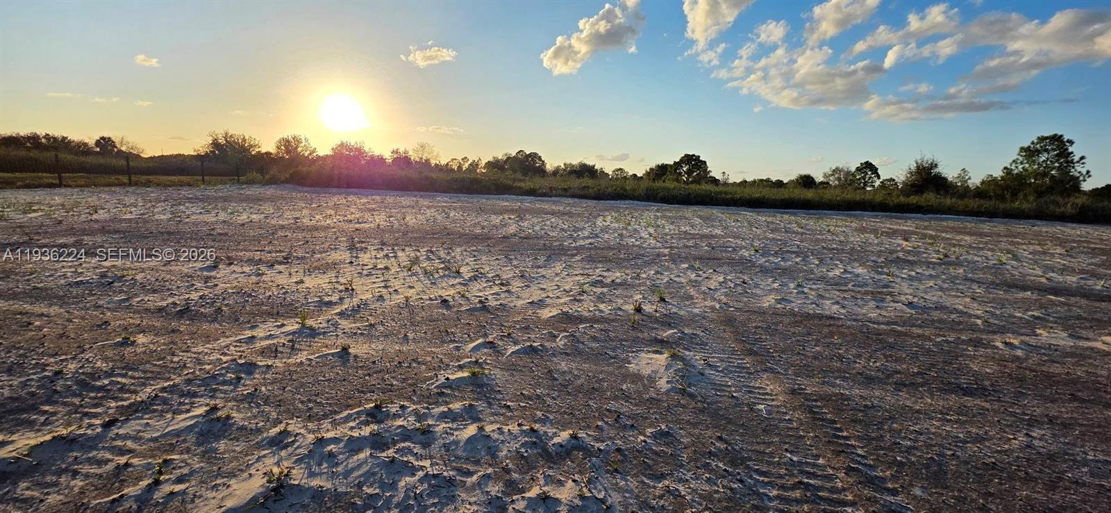 17385 Northwest 314th Street Okeechobee, FL 34972 - Photo 13 of 17 a view of an outdoor space and a yard