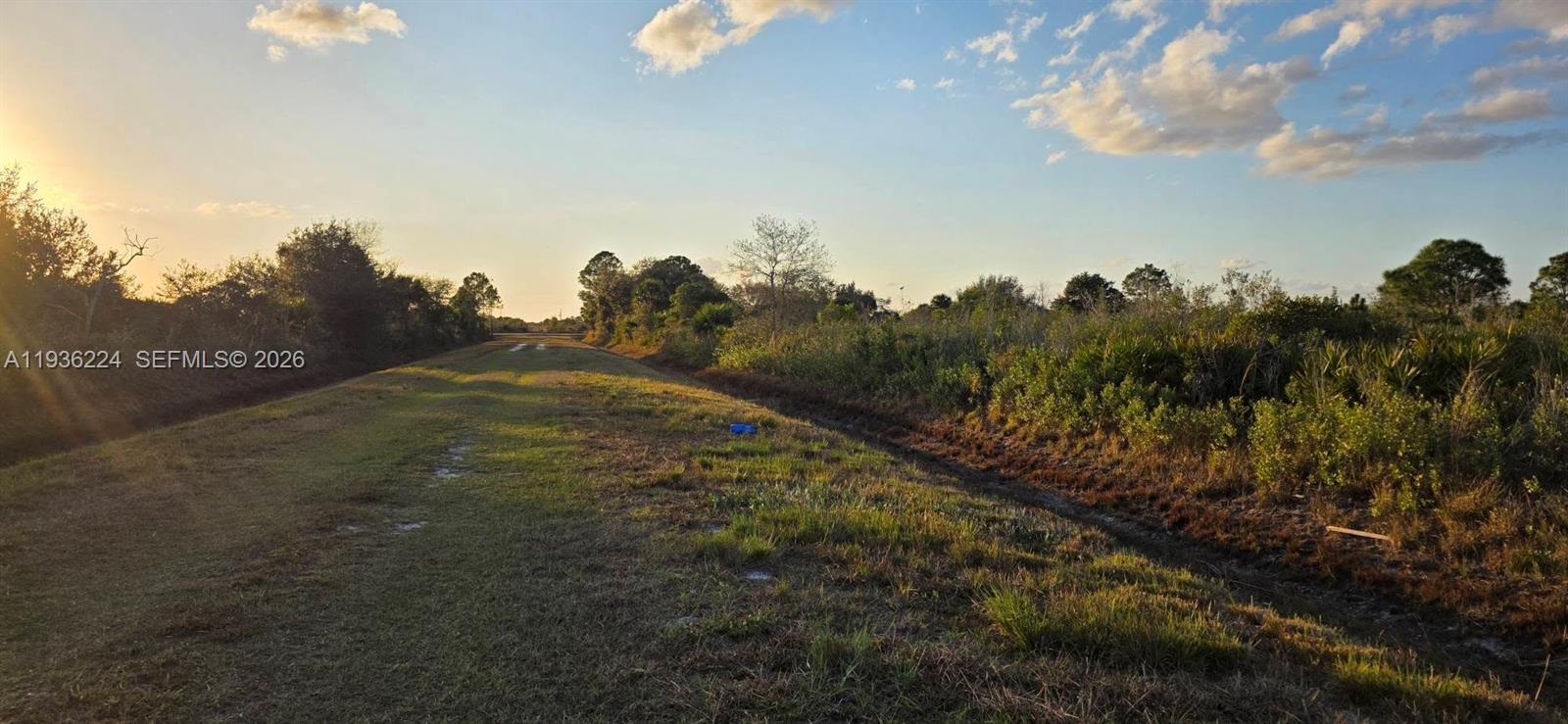 17385 Northwest 314th Street Okeechobee, FL 34972 - Photo 16 of 17 a view of a field of grass and trees