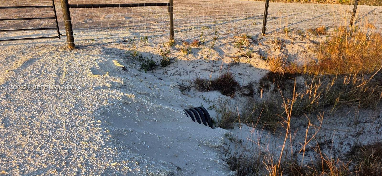 17385 Northwest 314th Street Okeechobee, FL 34972 - Photo 4 of 17 a view of a yard with wooden fence