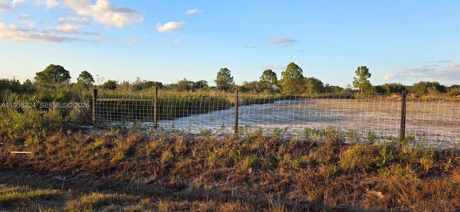 17385 Northwest 314th Street Okeechobee, FL 34972 - Photo 5 of 17 a view of a park