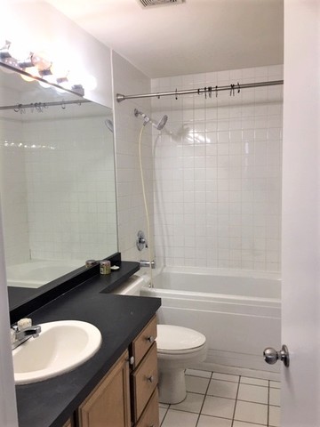 500 South Clinton Street, Unit 611 Chicago, IL 60607 - Photo 13 of 19 a bathroom with a sink toilet a mirror and shower
