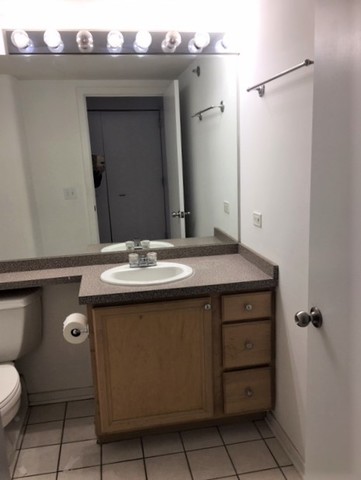 500 South Clinton Street, Unit 611 Chicago, IL 60607 - Photo 5 of 19 a bathroom with a sink and a mirror