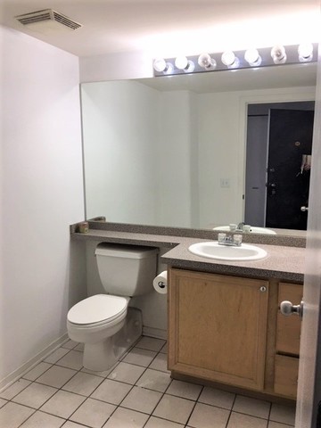 500 South Clinton Street, Unit 611 Chicago, IL 60607 - Photo 6 of 19 a bathroom with a sink a toilet and mirror
