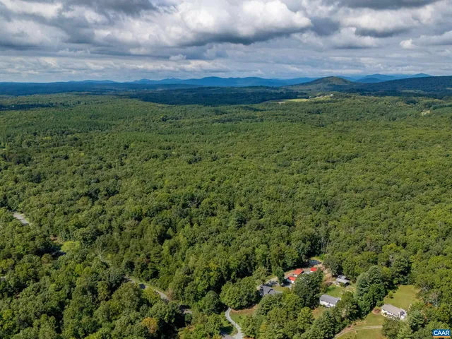 a view of a bunch of trees