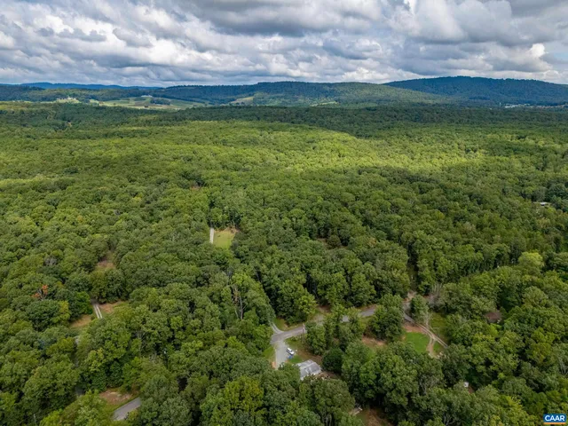 a view of a big yard with a plants and trees