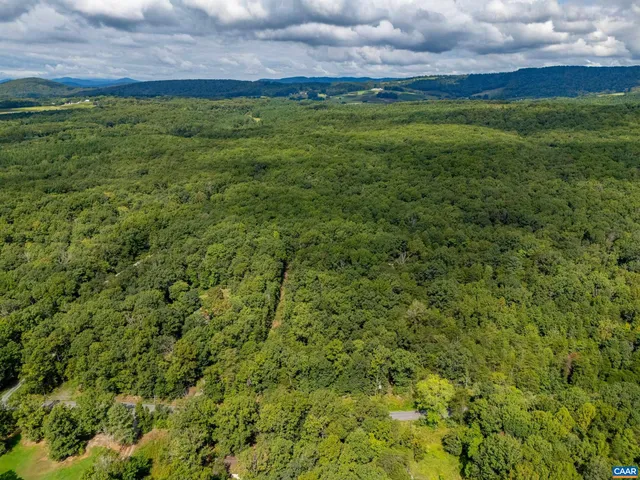 a view of a big yard with a table and plants