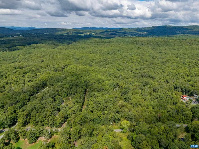 a view of a pathway both side of grassy field with shrub