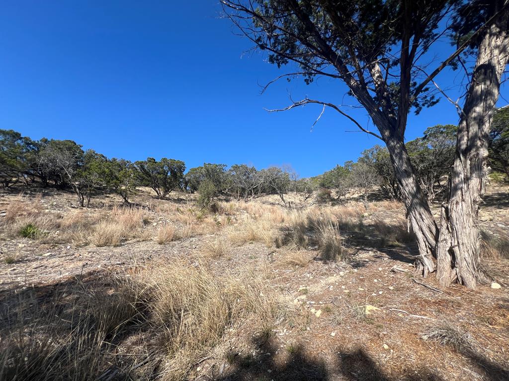 191 Scott Drive Center Point, TX 78010 - Photo 12 of 31