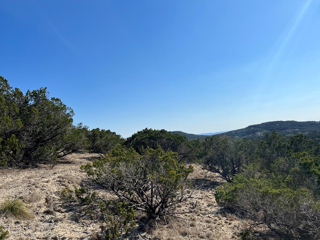 191 Scott Drive Center Point, TX 78010 - Photo 13 of 31