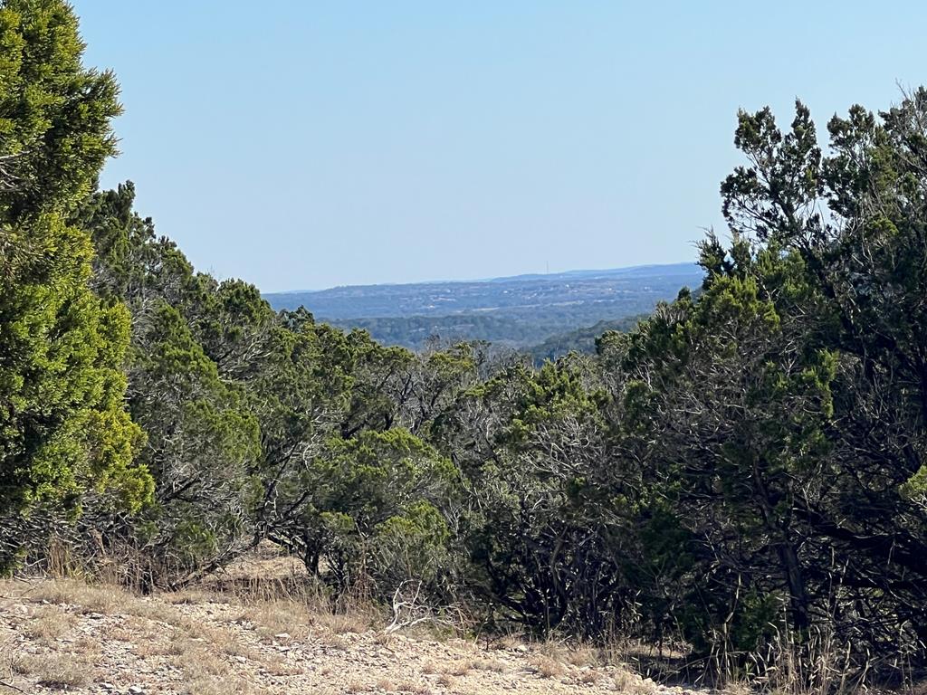 191 Scott Drive Center Point, TX 78010 - Photo 14 of 31