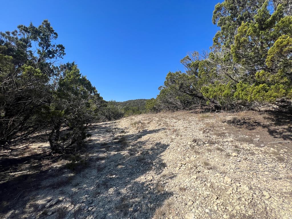 191 Scott Drive Center Point, TX 78010 - Photo 15 of 31