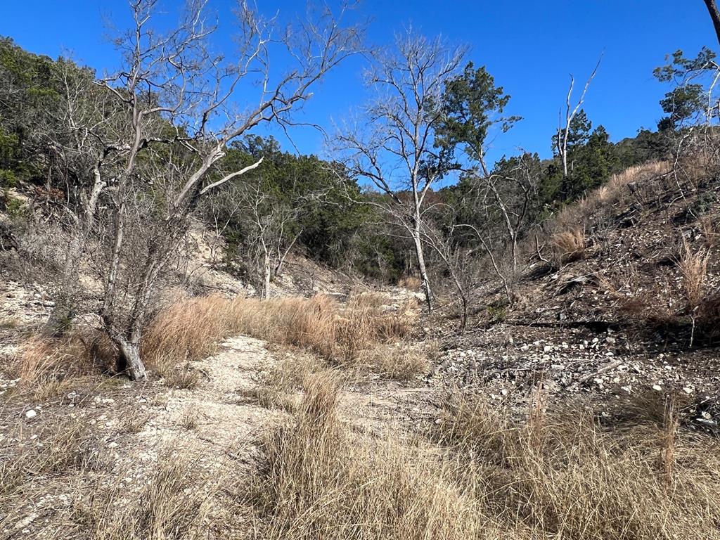 191 Scott Drive Center Point, TX 78010 - Photo 16 of 31