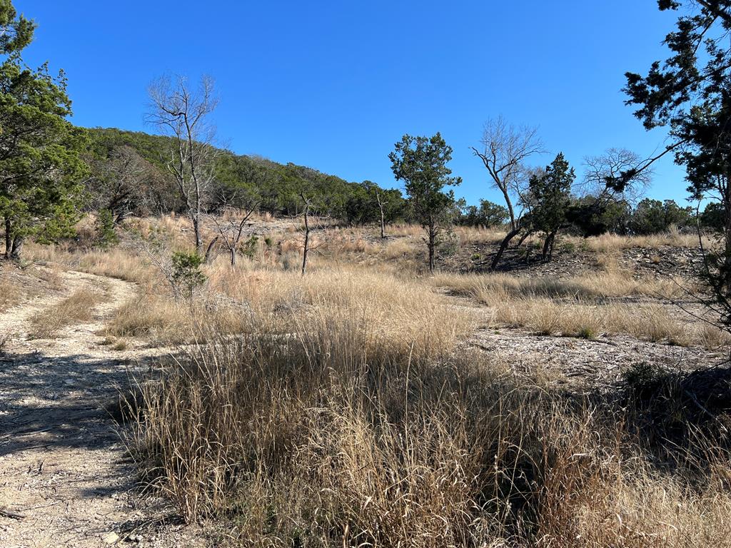191 Scott Drive Center Point, TX 78010 - Photo 17 of 31