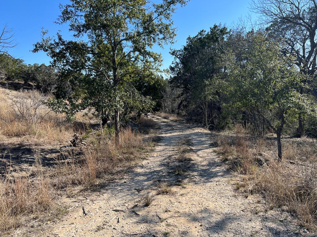 191 Scott Drive Center Point, TX 78010 - Photo 18 of 31