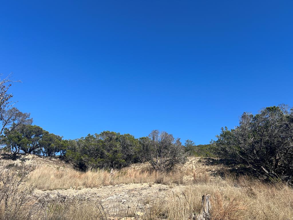 191 Scott Drive Center Point, TX 78010 - Photo 21 of 31