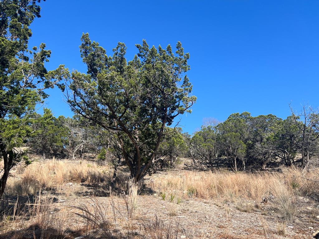 191 Scott Drive Center Point, TX 78010 - Photo 22 of 31