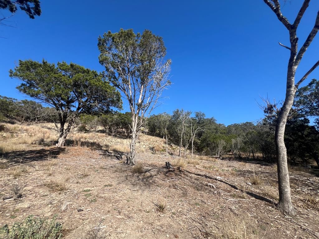 191 Scott Drive Center Point, TX 78010 - Photo 24 of 31