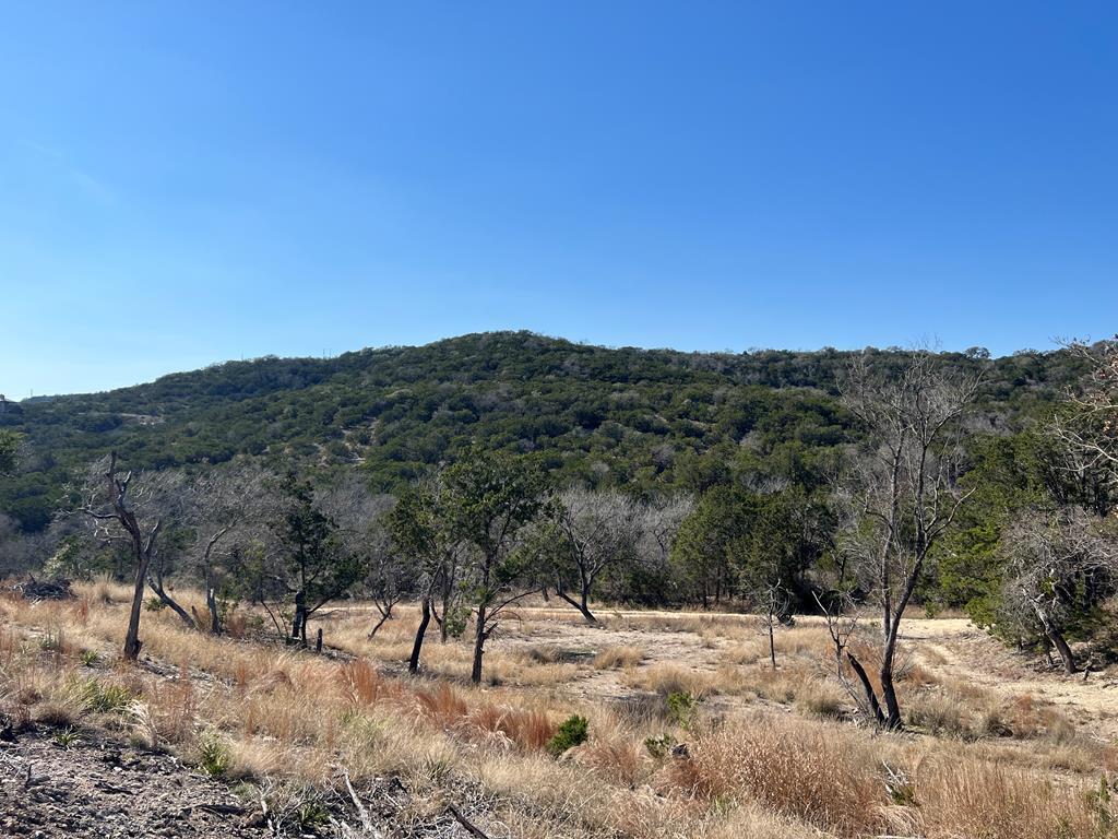 191 Scott Drive Center Point, TX 78010 - Photo 5 of 31