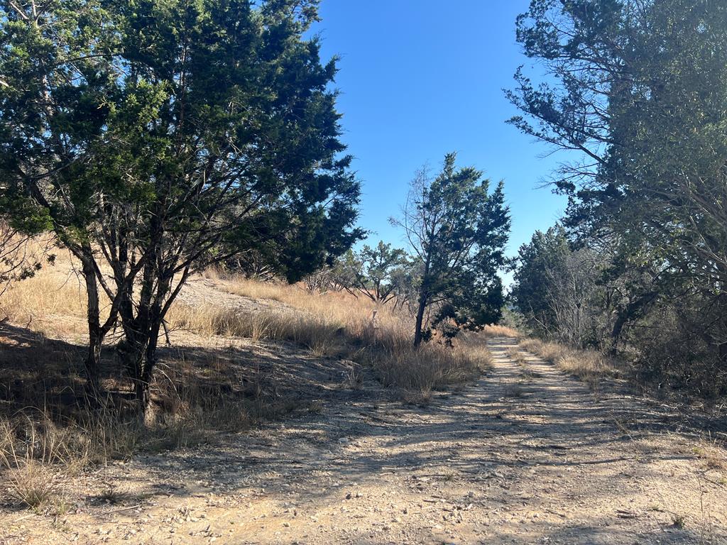 191 Scott Drive Center Point, TX 78010 - Photo 7 of 31