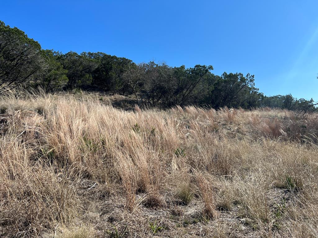 191 Scott Drive Center Point, TX 78010 - Photo 9 of 31