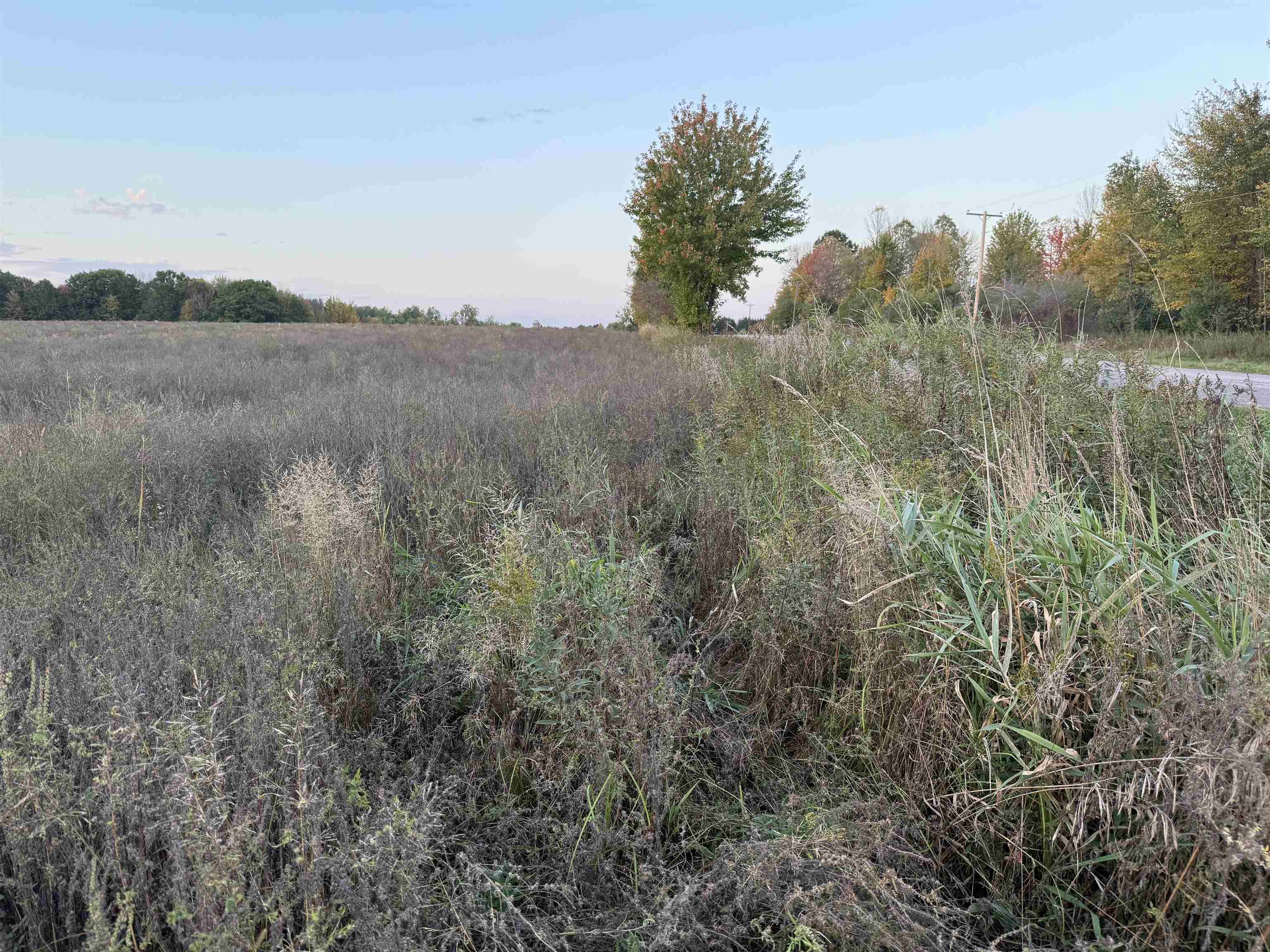 Lot 3 Eau Claire River Road Ringle, WI 54471 - Photo 7 of 19