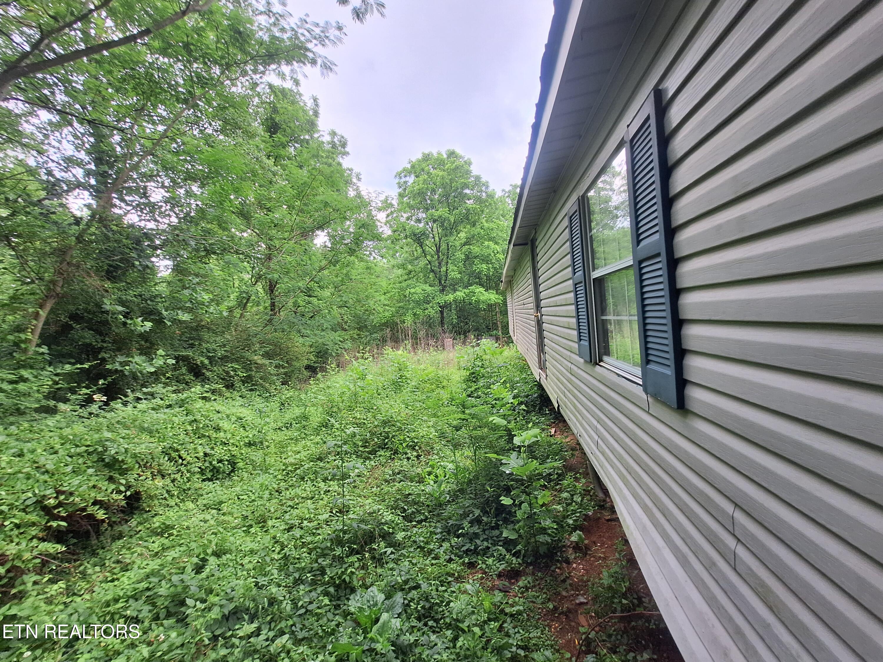 160 Mountain Road Tellico Plains, TN 37385 - Photo 10 of 10 20260521_181501