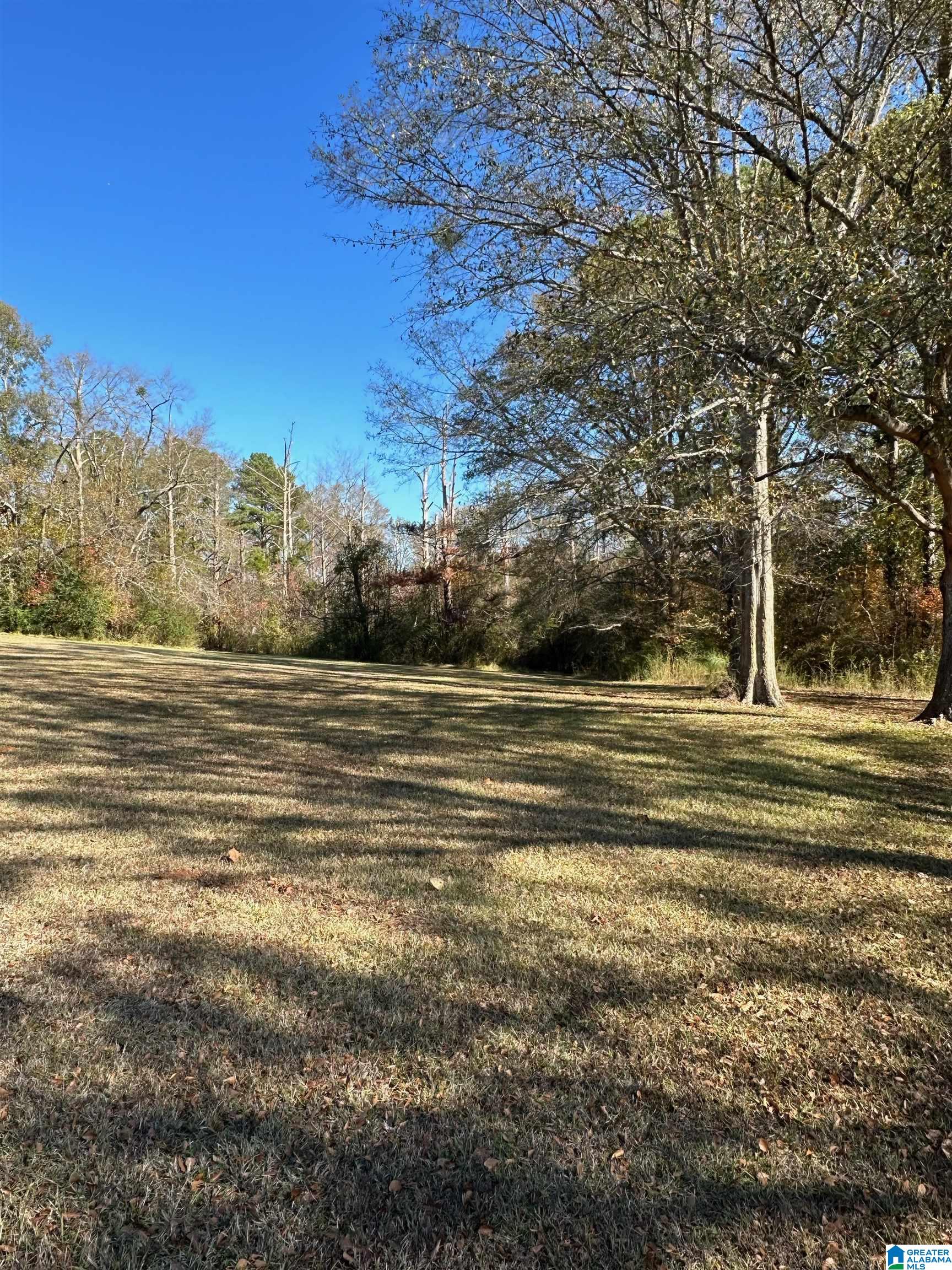 Lot 5 Carleton Point, Unit 5 Wilsonville, AL 35186 - Photo 8 of 12